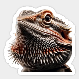 Bearded Dragon Headshot - Grey and Salmon Sticker